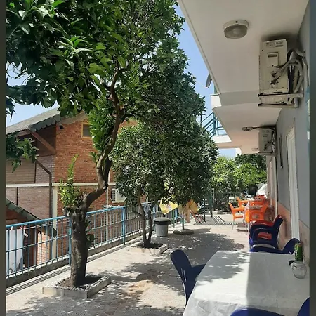 Auberge de jeunesse Llambro Dhërmi